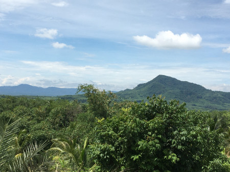 ขาย ที่ดิน ที่ตั้ง พรุเตาะ  ต.ทุ่งใหญ่  อ.หาดใหญ่ จ.สงขลา  4 ไร่ รูปที่ 1