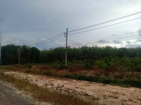 ขาย ที่ดิน ที่ดินเปล่าเส้นหลักหาดใหญ่-ปัตตานี  อ.หาดใหญ่ จ.สงขลา  22 ไร่ รูปที่ 2