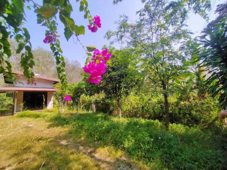 ขาย ที่ดิน พร้อมบ้านชั้นครึ่งสไตล์ลอฟต์ ทุ่งบน หาดใหญ่ 104 ตร.วา รูปที่ 6