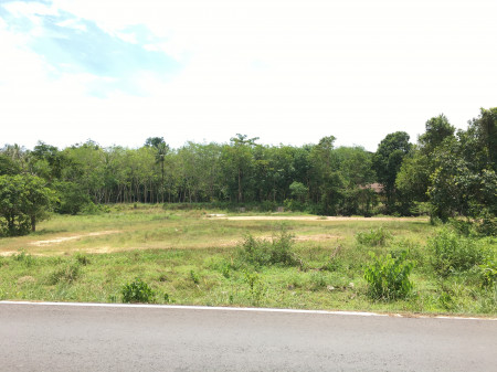 ขาย ที่ดิน ที่ดินติดถนนปุณณกันฑ์-พรุเตาะ 1000วา บ้านและที่ดิน 3 ไร่ 1 งาน 85.8 ตร.วา รูปที่ 4