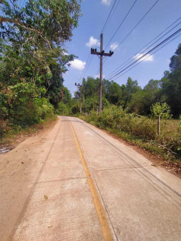 ขาย ที่ดิน ปลักธง-ควนจง ต.คอหงส์ อ.หาดใหญ่ จ.สงขลา  1 งาน 86 ตร.วา รูปที่ 4