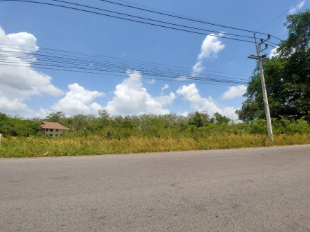 ขาย ที่ดิน ที่ดินติดถนนปุณณกันฑ์ 1000วา บ้านและที่ดิน 3 ไร่ 75 ตร.วา ที่ดินมีอนาคต รูปที่ 2