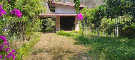 ขาย ที่ดิน พร้อมบ้านชั้นครึ่งสไตล์ลอฟต์ ทุ่งบน หาดใหญ่ 104 ตร.วา รูปที่ 3