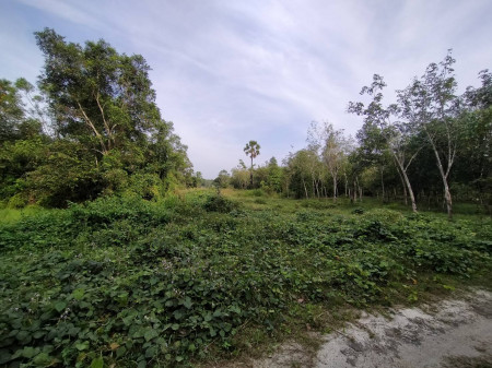 ขาย ที่ดิน ต.ท่าข้าม อ.หาดใหญ่ จ.สงขลา  2 ไร่ 12.9 ตร.วา รูปที่ 2