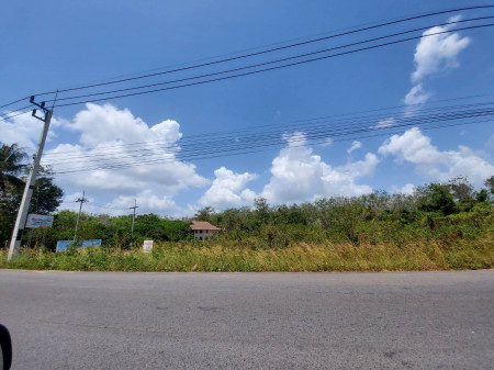 ขาย ที่ดิน ที่ดินติดถนนปุณณกันฑ์ 1000วา บ้านและที่ดิน 3 ไร่ 75 ตร.วา ที่ดินมีอนาคต รูปที่ 3