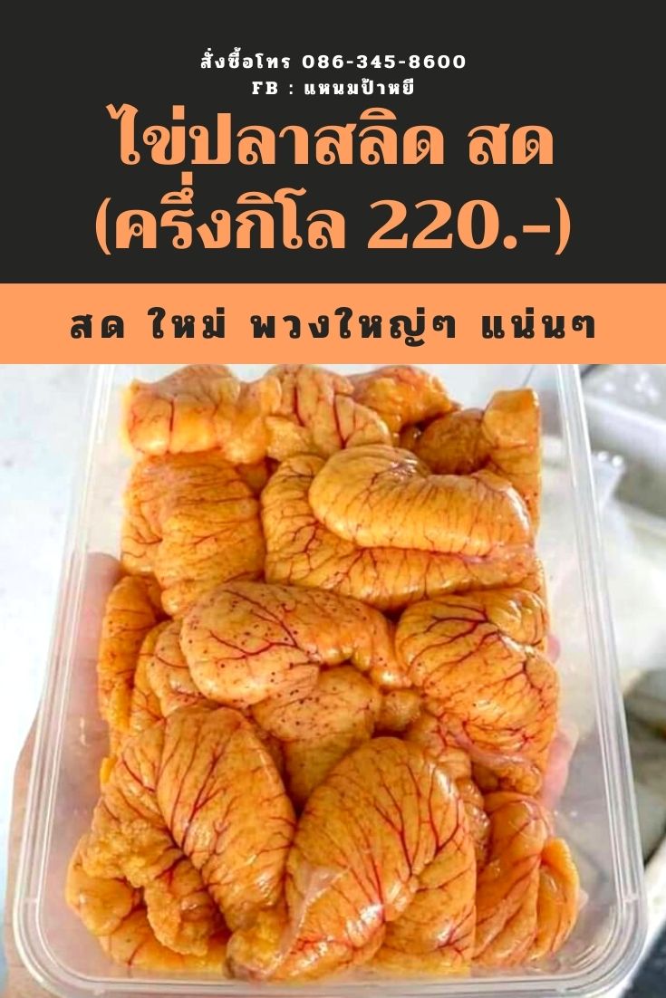 ใหม่ ไข่สลิด สด ไข่ล้วนๆ สั่งได้นะคะ รูปที่ 1