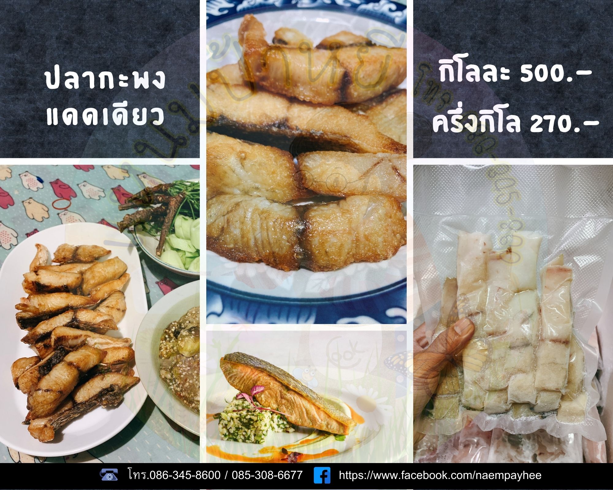 ปลากะพงแดดเดียว ร้านแหนมป้าหยีนวมินทร์ รูปที่ 1