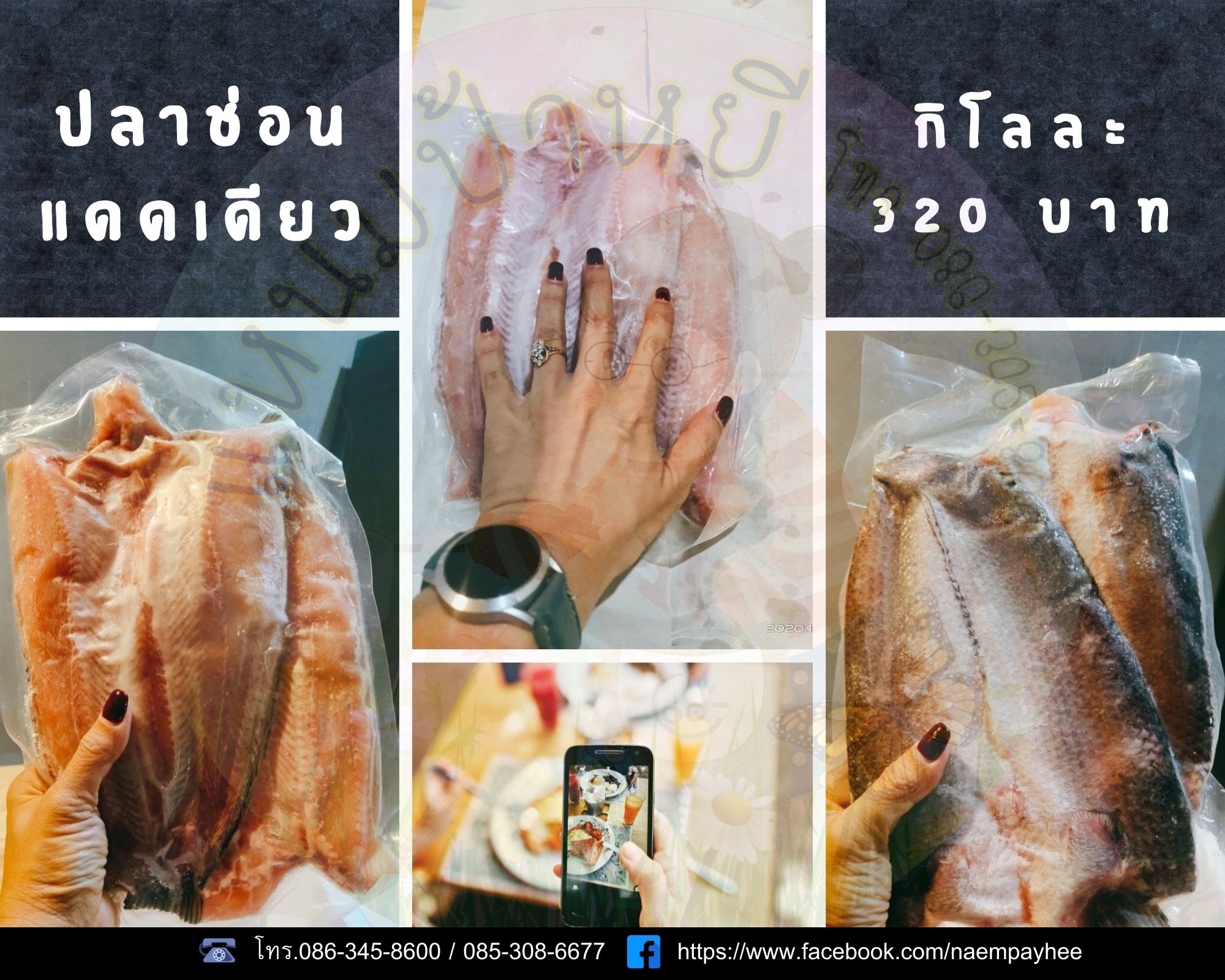 ปลาช่อนแดดเดียว ร้านแหนมป้าหยีนวมินทร์ รูปที่ 1