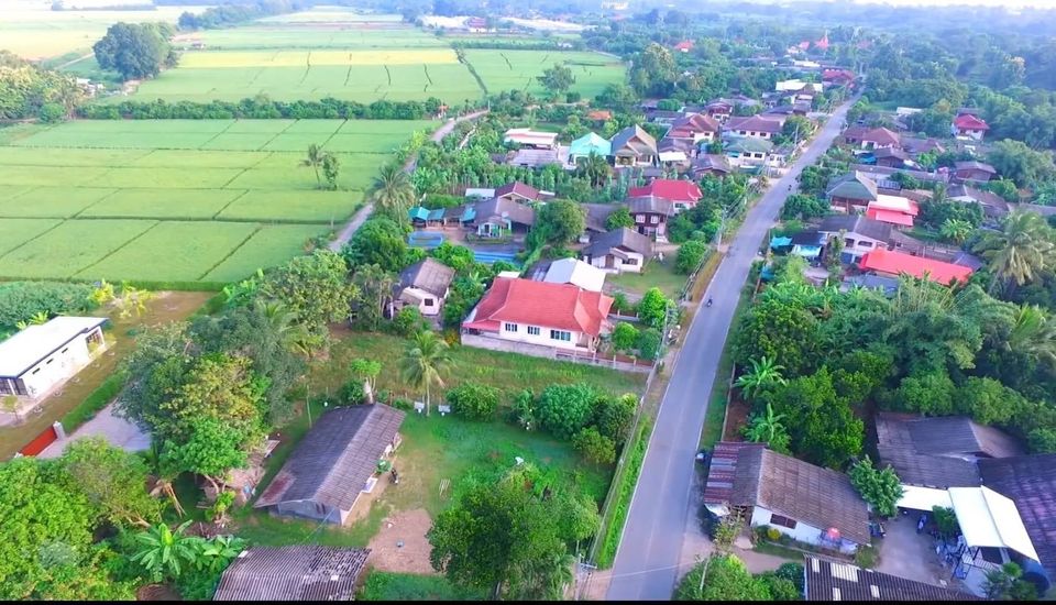 ขายที่ดินแปลงสวยถมแล้ว บรรยากาศดี ร่มรื่น อยู่ในชุมชน เดินทางสะดวกเชื่อมต่อ ถนนสายแม่ริม-แม่แตง และถนนสายแม่โจ้-พร้าว รูปที่ 5