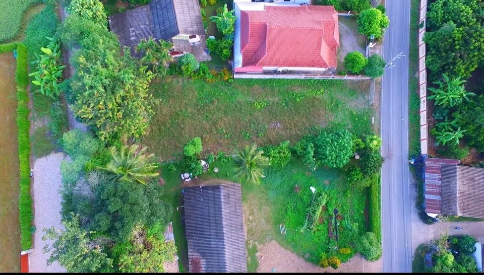 ขายที่ดินแปลงสวยถมแล้ว บรรยากาศดี ร่มรื่น อยู่ในชุมชน เดินทางสะดวกเชื่อมต่อ ถนนสายแม่ริม-แม่แตง และถนนสายแม่โจ้-พร้าว รูปที่ 4