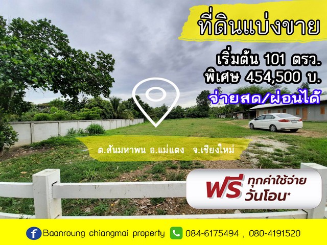 ขายที่ดิน101 ตรว. ใกล้ตลาดแม่มาลัย อ.แม่แตง จ.เชียงใหม่ (เจ้าของขายเอง) รูปที่ 1