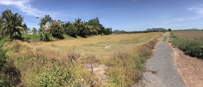 ขาย ที่ดินเปล่า ท่าม่วง กาญจนบุรี วัดถ้ำเสือ ติดถนนใหญ่ รูปที่ 4