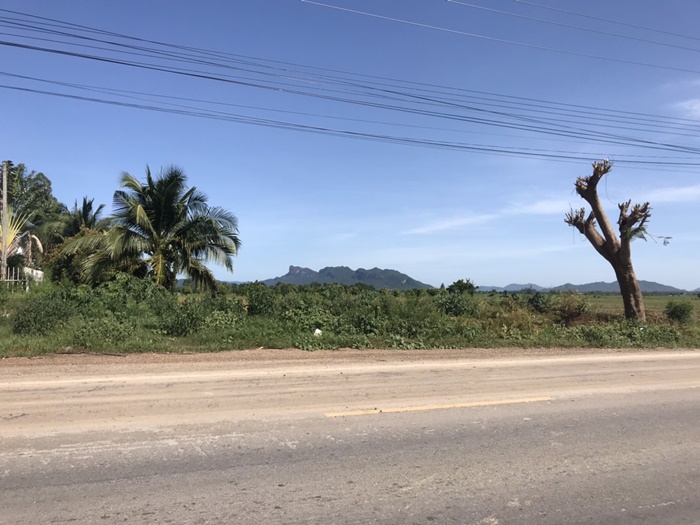 ขาย ที่ดินเปล่า ท่าม่วง กาญจนบุรี วัดถ้ำเสือ ติดถนนใหญ่ รูปที่ 5