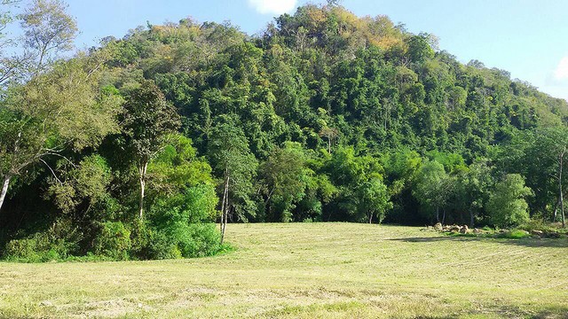 ขายที่ดินวิวภูเขา ใกล้ถนนธนะรัช ตำบลหมูสี อ.ปากช่อง โคราช ขนาด  26-1-82 ไร่ รูปที่ 1