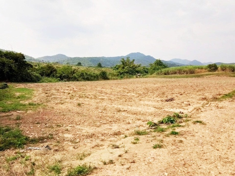 ขายด่วน ที่ดินทำเลดี อ.หนองหญ้าปล้อง จ.เพชรบุรี รูปที่ 5