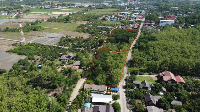 ขายที่ดินทำเลดีใกล้ตลาดสดใกล้ถนนหลักเหมาะทำบ้าน หรือที่จัดสรรขาย รูปที่ 1