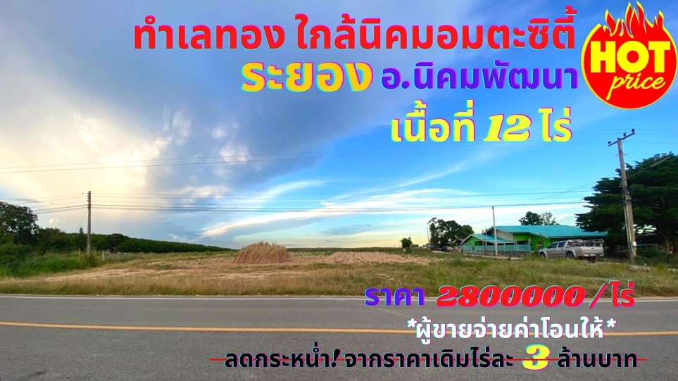 ขายที่ดินระยอง ใกล้นิคมอมตะซิตี้ เพียง 1กม. เนื้อที่ 12 ไร่ ต.พนานิคม อ.นิคมพัฒนา จ.ระยอง ทำเลเหมาะสร้างโรงงาน โกดัง บ้านจัดสรร ห้องแถวบ้านเช่า รูปที่ 1