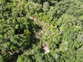 ขายที่ดินภูเก็ต ตำบลป่าตอง จำนวน:  4 ไร่ 23 ตารางวา   ราคา 9,000,000 บาท