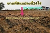 รูปย่อ ขาย ที่ดิน พระพุทธบาท สระบุรี 24 ไร่ มีแหล่งน้ำ ติดถนนซอย4 สายตรี ธารเกษม รูปที่2