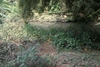 รูปย่อ ขาย ที่ดิน พระพุทธบาท สระบุรี 24 ไร่ มีแหล่งน้ำ ติดถนนซอย4 สายตรี ธารเกษม รูปที่6