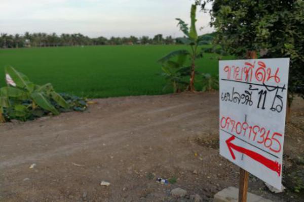 ขาย ที่ดิน  ไทรน้อย นนทบุรี 11 ไร่ 72 ตร.วา ติดถนนบางกรวย-ไทรน้อย บางกรวย-กรุงเทพฯ รูปที่ 5