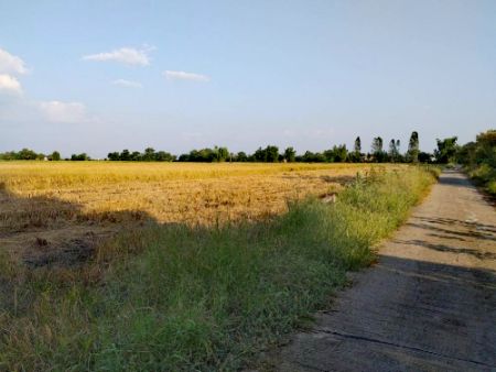 ขาย ที่ดิน  อ.ตาคลี นครสวรรค์ 36 ไร่ 1 งาน 4 ตร.วา ใกล้สถานีรถไฟจันเสน ติดคลองใหญ่แม่น้ำลพบุรี รูปที่ 2