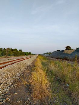 ขาย ที่ดิน  อ.ตาคลี นครสวรรค์ 36 ไร่ 1 งาน 4 ตร.วา ใกล้สถานีรถไฟจันเสน ติดคลองใหญ่แม่น้ำลพบุรี รูปที่ 3