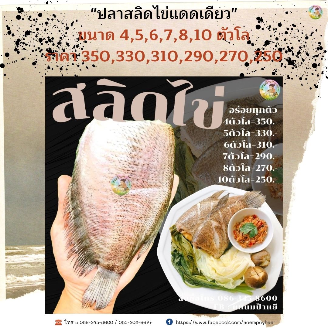 ปลาสลิดไข่แดดเดียว สั่งได้ค่ะต้องลอง รูปที่ 1