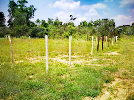 ขาย ที่ดิน  หาดใหญ่ สงขลา 100 ตร.วา ใกล้ถนนเลี่ยงเมือง4เลน ใกล้สนามบินหาดใหญ่ รูปที่ 2