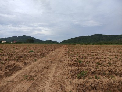 ขายที่ดิน กาญจนบุรี 100 ไร่ ติดถนนลาดยาง  เหมาะทำการเกษตร ใกล้แหล่งน้ำ รูปที่ 1