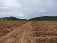 ขายที่ดิน กาญจนบุรี 100 ไร่ ติดถนนลาดยาง  เหมาะทำการเกษตร ใกล้แหล่งน้ำ