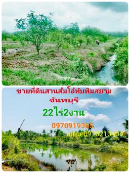 ขาย ที่ดิน  สวนส้มโอทับทิมสยาม จันทบุรี 22 ไร่ 2 งาน 1.7 ตร.วา วิวสวย อากาศดี มีแหล่งน้ำ รูปที่ 1