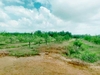 รูปย่อ ขาย ที่ดิน  สวนส้มโอทับทิมสยาม จันทบุรี 22 ไร่ 2 งาน 1.7 ตร.วา วิวสวย อากาศดี มีแหล่งน้ำ รูปที่4