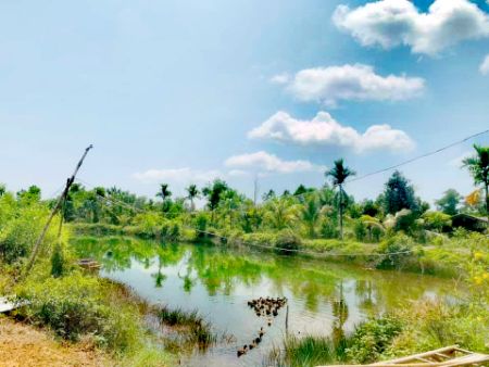 ขาย ที่ดิน  สวนส้มโอทับทิมสยาม จันทบุรี 22 ไร่ 2 งาน 1.7 ตร.วา วิวสวย อากาศดี มีแหล่งน้ำ รูปที่ 2