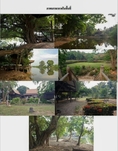 สำหรับท่านที่ชอบเรือนไทยริมน้ำ (ทรงแบบเรือนขุนแผนที่หายาก) พร้อมที่ดิน 16 ไร่