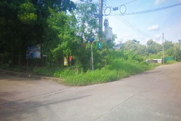 ขาย ที่ดิน  หมู่บ้านทิพย์มณฑล ตลิ่งชัน กทม. 1 งาน 12 ตร.วา ติดน้ำ ติดถนน 2 ด้าน รูปที่ 3