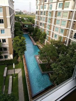 ขาย คอนโด อาคาร บี Dcondo Campus Dome-Rangsit : ดีคอนโด แคมปัส โดม-รังสิต 30 ตรม. ฝั่งวิวสวน และสระน้ำ รูปที่ 2