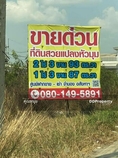 ผังสีม่วง ที่ดินขายถูกแปลงมุม 4 ไร่ 3 งาน 80 ตร.ว. ถนนเพชรเกษม เพียง 150 เมตร