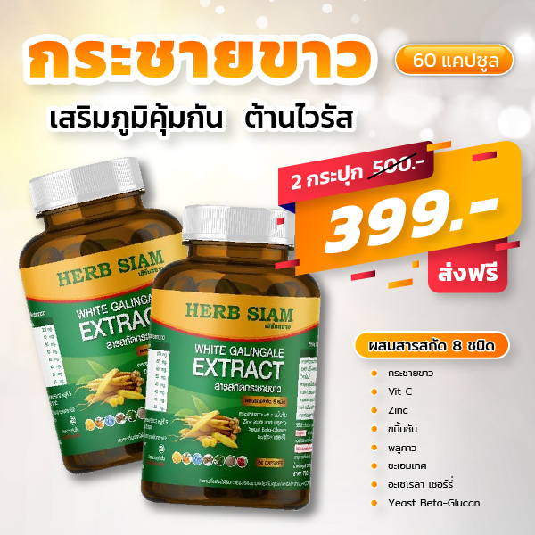 กระชายขาว รูปที่ 5