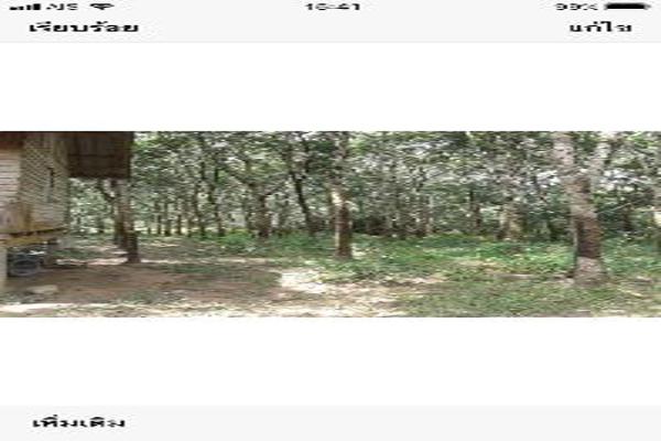 ขาย ที่ดิน ที่ดินเกาะช้าง6ไร่ ที่ดินเกาะช้าง 6 ไร่ ราคาพิเศษ รูปที่ 5