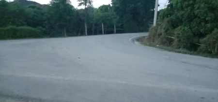 ขาย ที่ดิน เนื้อที่443ตรว. อ.ป่าซาง จ.ลำพูน 443 ตร.วา ติดถนนสาธารณะ 2 ด้าน รูปที่ 5