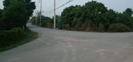 ขาย ที่ดิน เนื้อที่443ตรว. อ.ป่าซาง จ.ลำพูน 443 ตร.วา ติดถนนสาธารณะ 2 ด้าน รูปที่ 3