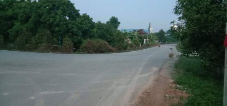 ขาย ที่ดิน เนื้อที่443ตรว. อ.ป่าซาง จ.ลำพูน 443 ตร.วา ติดถนนสาธารณะ 2 ด้าน รูปที่ 6