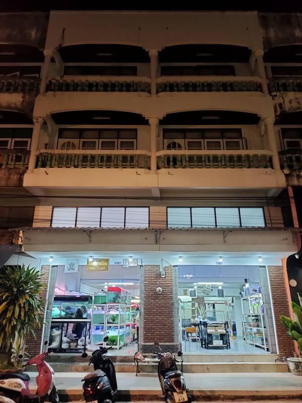 ขายถูก! อาคารพาณิชย์ ถนนประชาอุทิศ ซอยสุขเสมอ กลางเมืองชุมพร ติดถนนหลักย่านการค้า 2 คูหาติดกัน โทร 081-8927543 รูปที่ 4