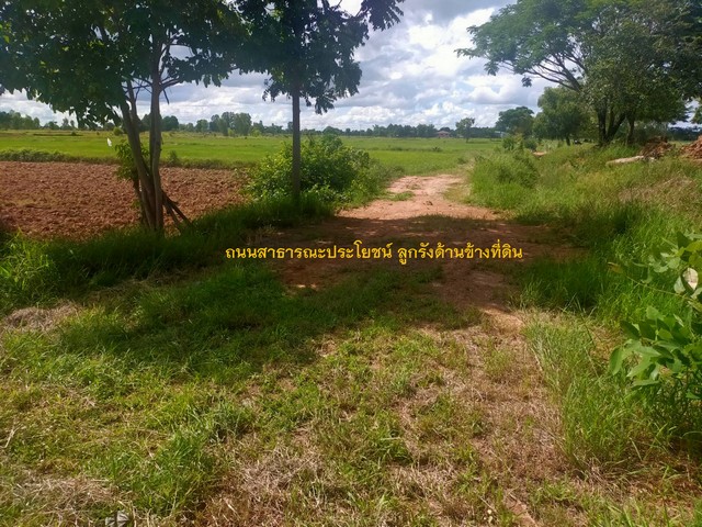 ที่ดินติดถนนทางเข้าอุทยานประวัติศาสตร์ศรีเทพ จ.เพชรบูรณ์ รูปที่ 1