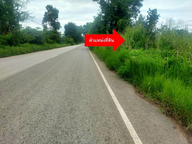 ขายที่ดินติดถนนลาดยางเส้น2275ลำนารายณ์ วิเชียรบุรี จ.เพชรบูรณ์ รูปที่ 1