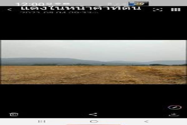 ขาย ที่ดิน ที่ดินพิษณุโลก ที่ดินพิษณุโลก7ไร่ 7 ไร่ ราคาถูกจนน่าตกใจ รูปที่ 3
