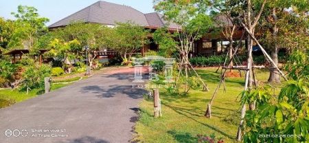 ขาย ที่ดิน รหัส40604เนื้อที่4ไร่พร้อมบ้านที่ปากช่อง 4 ไร่ ล้อมรอบด้วยธรรมชาติ รูปที่ 2