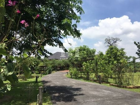 ขาย ที่ดิน รหัส40604เนื้อที่4ไร่พร้อมบ้านที่ปากช่อง 4 ไร่ ล้อมรอบด้วยธรรมชาติ รูปที่ 3