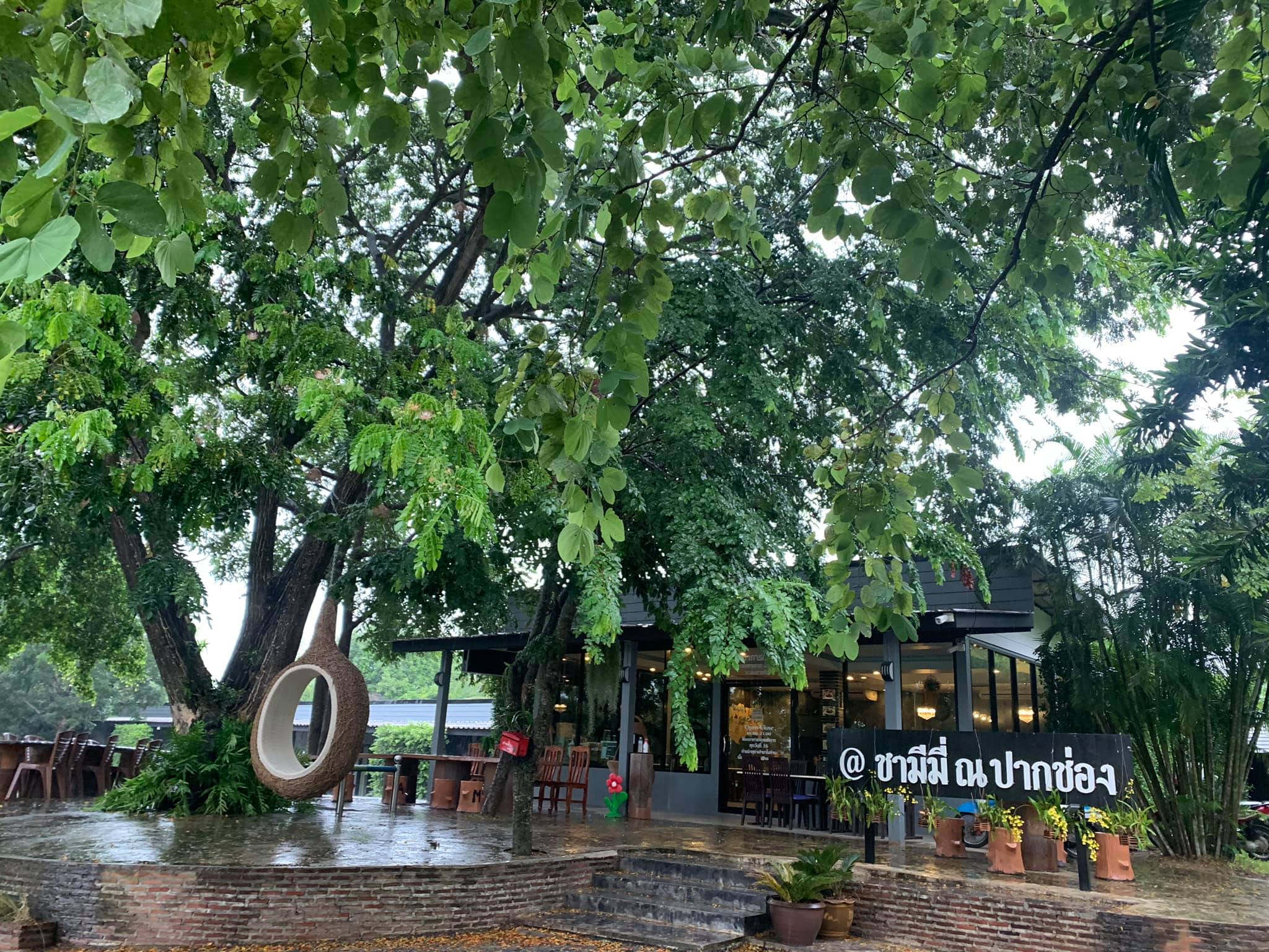 Chamemee Cafe' & Resort @ปากช่อง โคราช ร้านคาเฟ่แสนสวยพร้อมอาหารแสนอร่อย และที่พักบรรยากาศดี ในราคาสบายกระเป๋า รูปที่ 5